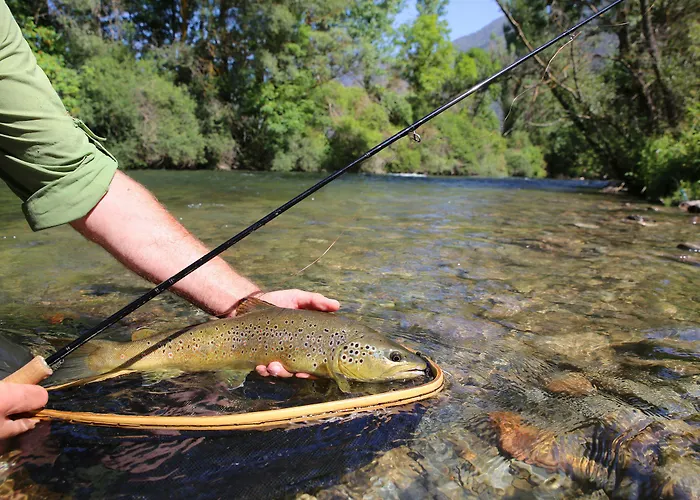 Hotel Stroblerhof 4*
